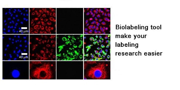 Biolabeling Platform